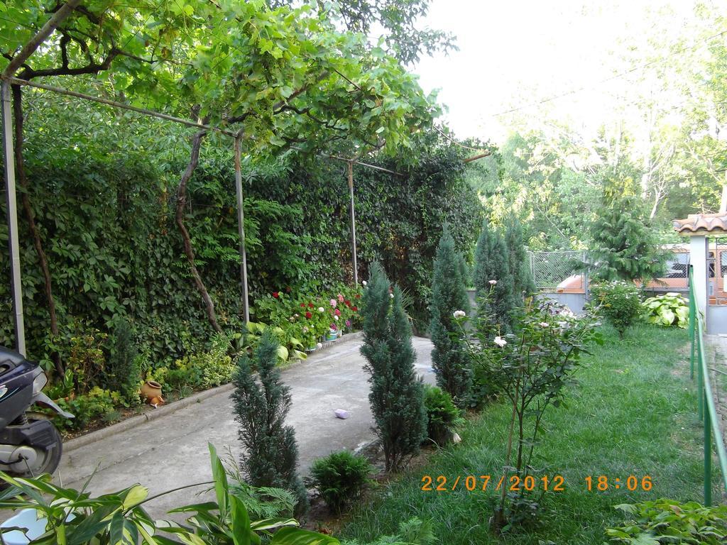 Sakutski House Χισάρια Εξωτερικό φωτογραφία